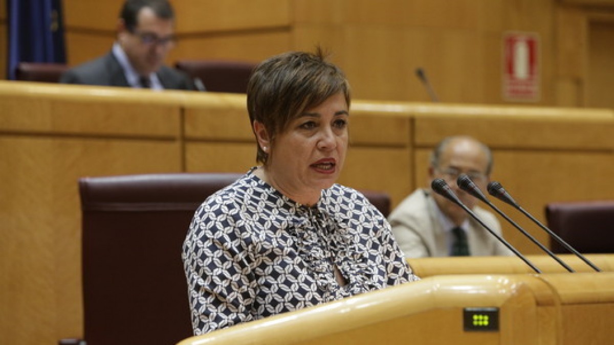 Isabel Sánchez Roblesek baieztatu du Hirugarren Sektorearen legea 