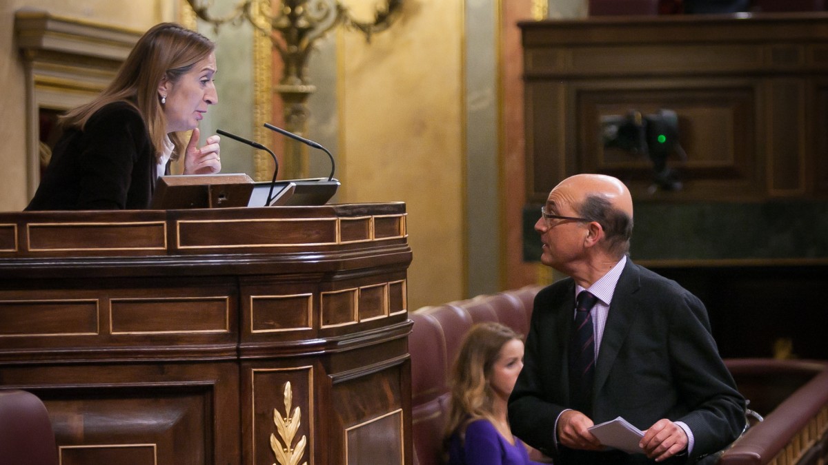 El Congreso acepta a trámite la propuesta del Grupo Vasco para derogar las dos últimas reformas del Tribunal Constitucional