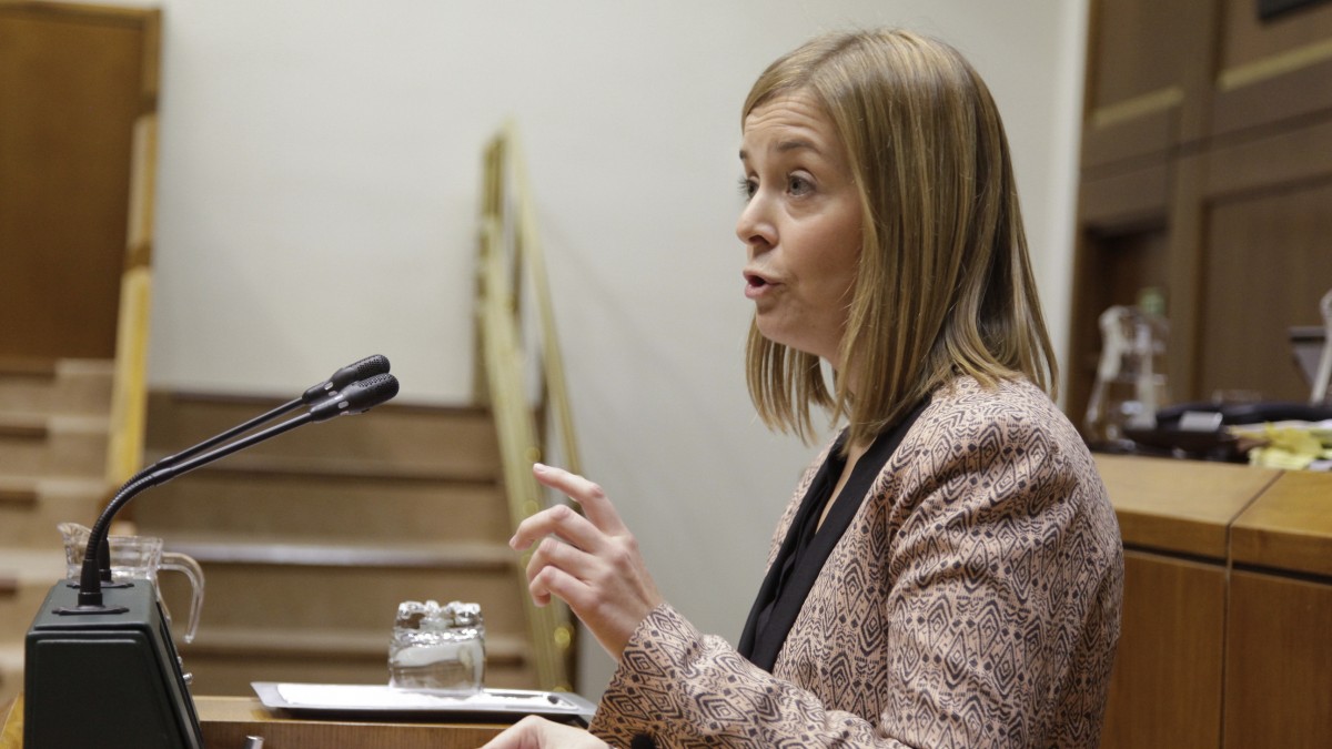 Larrauri: “Apostamos al igual que el Gobierno Vasco por unas administraciones públicas y de calidad”