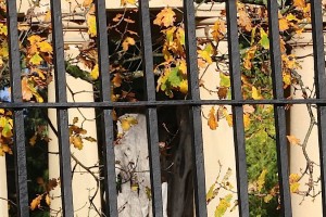 Urkullu Lehendakari - Gernika