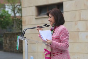 2014 Arratiako Alderdikide Eguna 