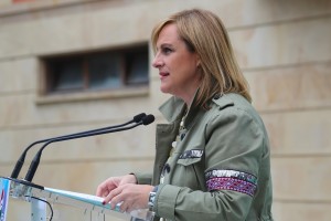 2014 Arratiako Alderdikide Eguna 