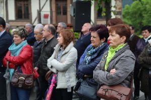 2014 Arratiako Alderdikide Eguna 