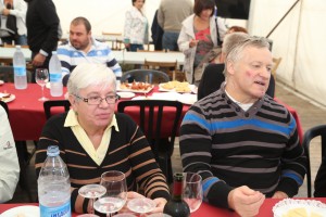 Alderdi Eguna 2014 EAJ-PNV - Recepción a las delegaciones invitadas