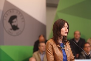 Aberri Eguna 2015 Herriz herri, Aberri!