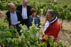 Páganos-Laguardia. Acto sectorial Agricultura (15-06-2016)