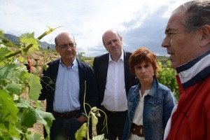 Páganos-Laguardia. Acto sectorial Agricultura (15-06-2016)