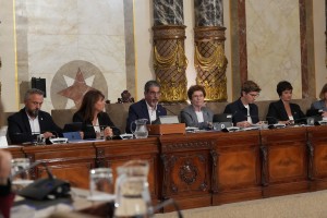 Eneko Goia - Politika Orokorreko Udalbatzarra