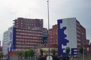 Hospital de Cruces II
