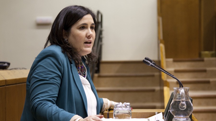 La Ponencia de Autogobierno volverá a reunirse en el momento que dos o más grupos tengan una propuesta de consenso